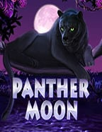 การ เล น พน น บอล sbobet: สูตรและเทคนิคชนะ