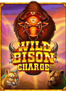 เกมสล็อตโรม่าเว็บตรง ทดลองเล่น: ประสบการณ์ที่ไม่ควรพลาด